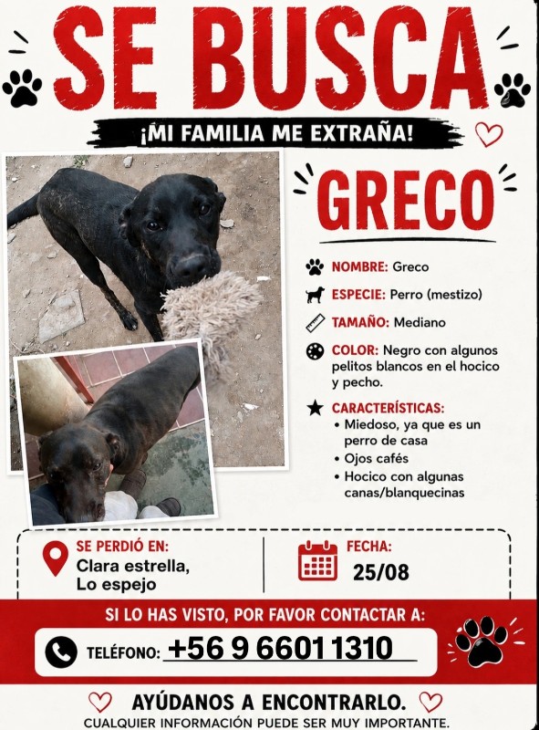 Foto de Greco